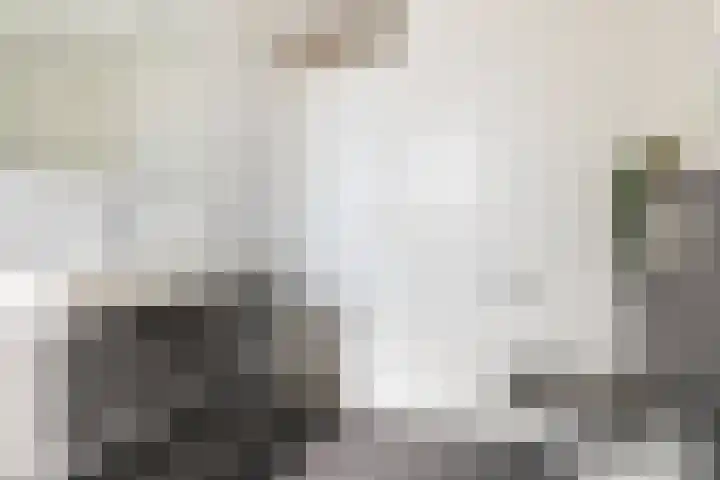 Bunnemaheerd 110 Groningen thumbnail 28