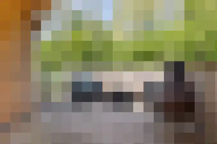 Bunnemaheerd 110 Groningen thumbnail 38