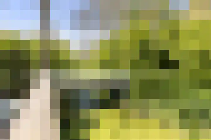 Bunnemaheerd 110 Groningen thumbnail 40