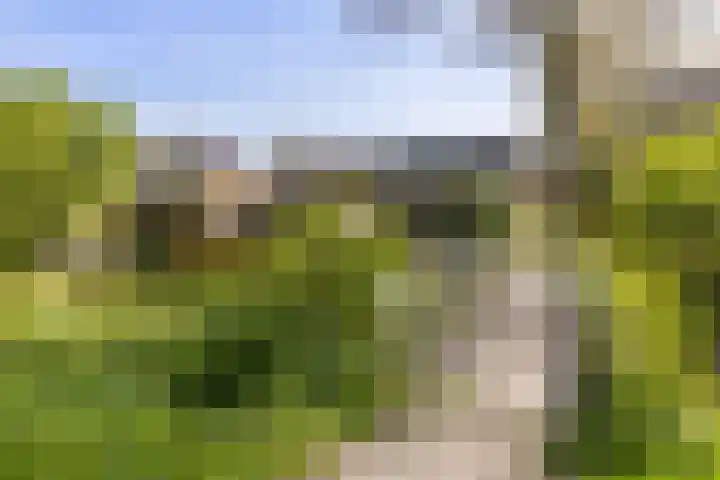 Bunnemaheerd 110 Groningen thumbnail 41
