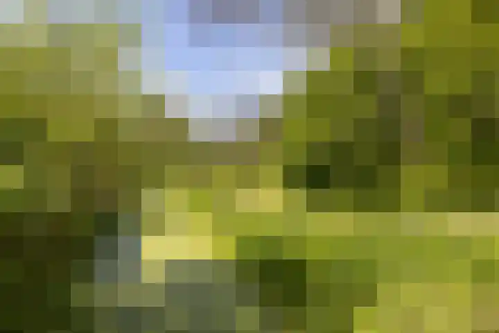 Bunnemaheerd 110 Groningen thumbnail 42