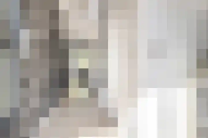 Bunnemaheerd 110 Groningen thumbnail 9