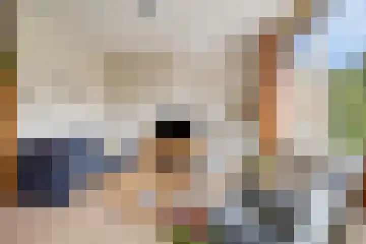 Bunnemaheerd 136 Groningen thumbnail 11