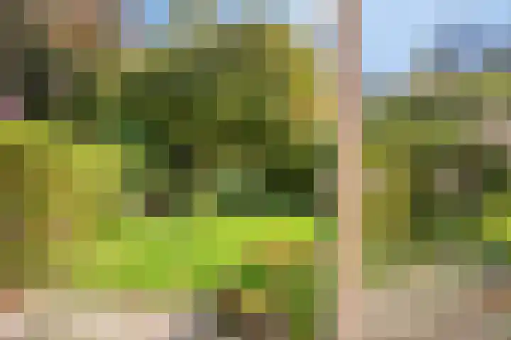 Bunnemaheerd 136 Groningen thumbnail 15