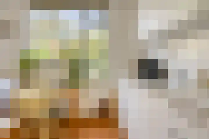 Bunnemaheerd 136 Groningen thumbnail 17