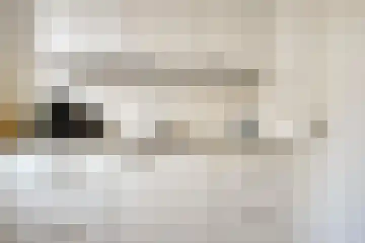 Bunnemaheerd 136 Groningen thumbnail 18