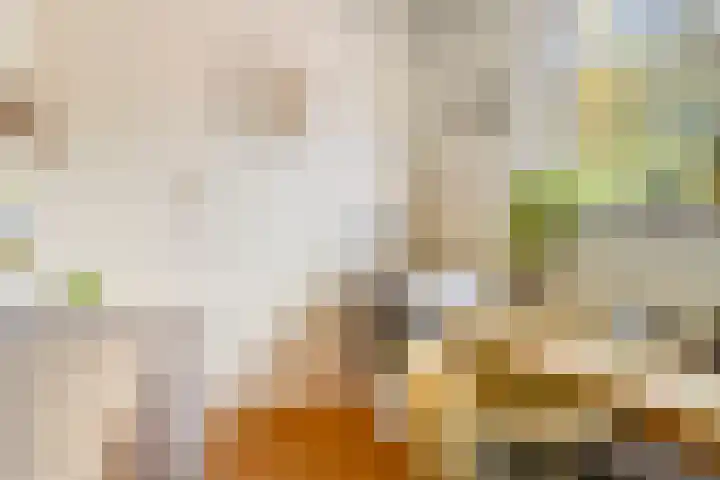 Bunnemaheerd 136 Groningen thumbnail 19