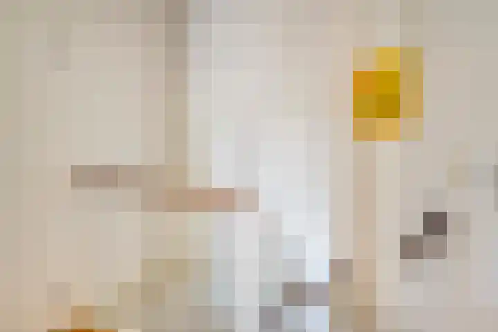 Bunnemaheerd 136 Groningen thumbnail 21