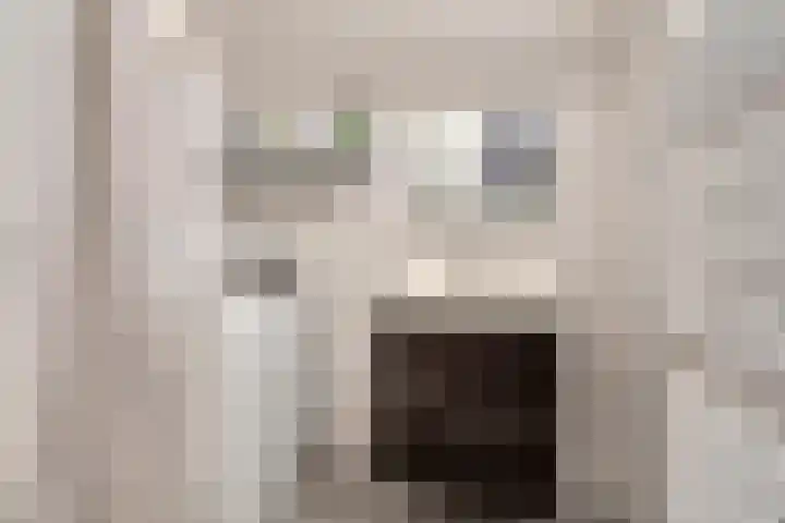 Bunnemaheerd 136 Groningen thumbnail 24