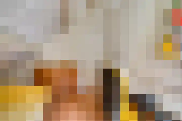 Bunnemaheerd 136 Groningen thumbnail 27