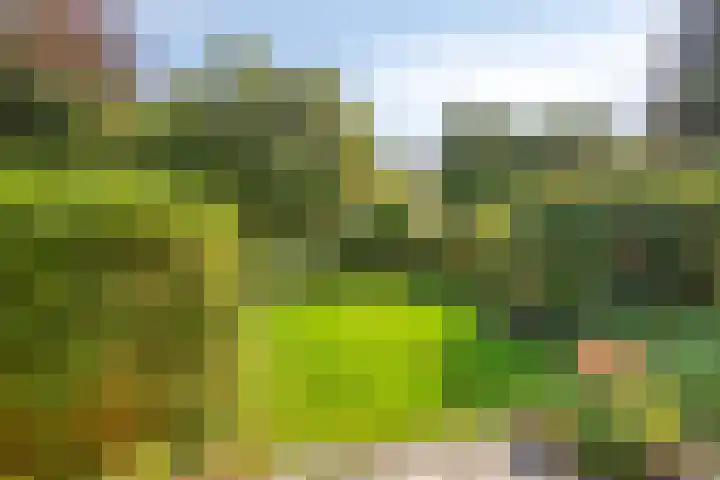 Bunnemaheerd 136 Groningen thumbnail 29