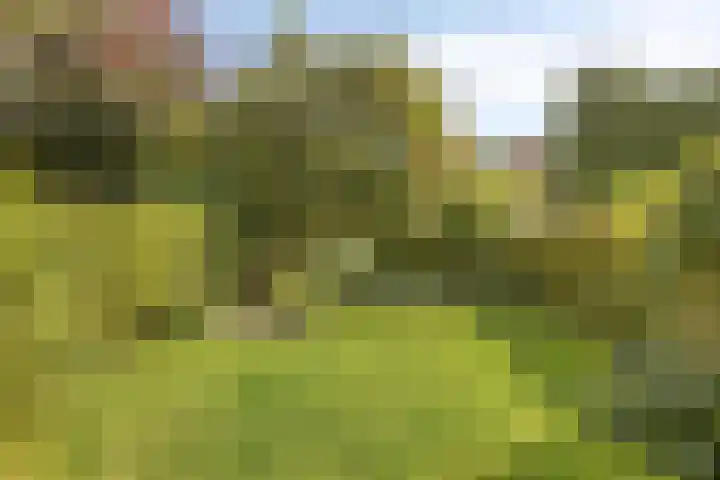Bunnemaheerd 136 Groningen thumbnail 30