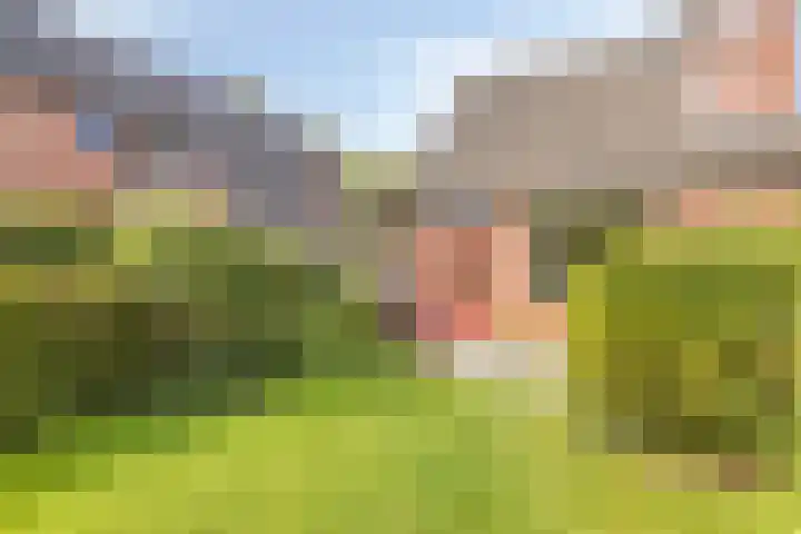 Bunnemaheerd 136 Groningen thumbnail 32