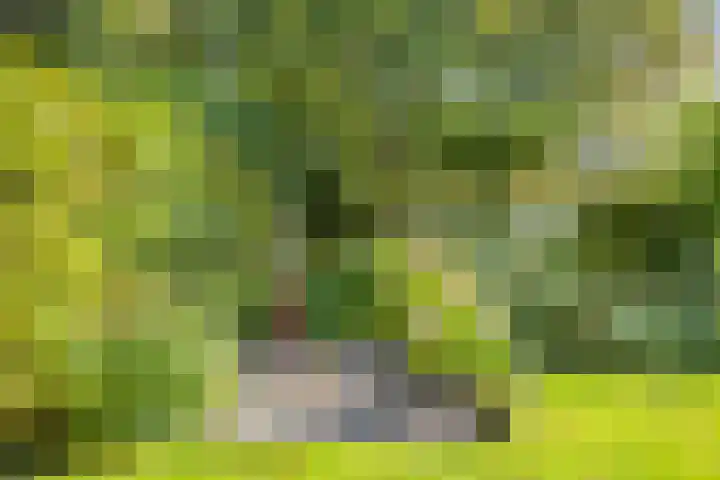 Bunnemaheerd 136 Groningen thumbnail 33