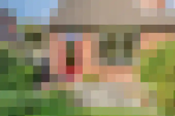 Bunnemaheerd 136 Groningen thumbnail 34