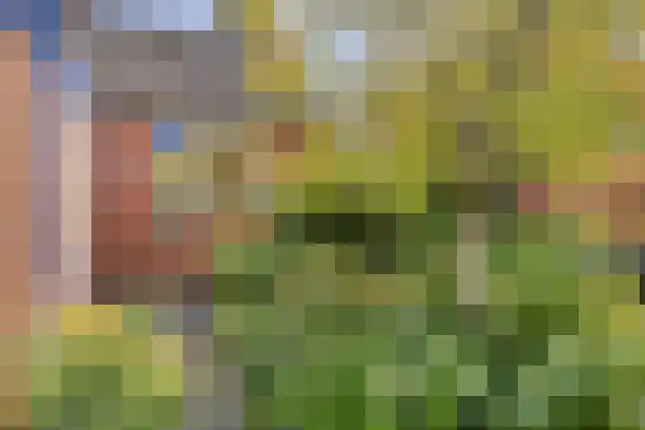 Bunnemaheerd 136 Groningen thumbnail 5