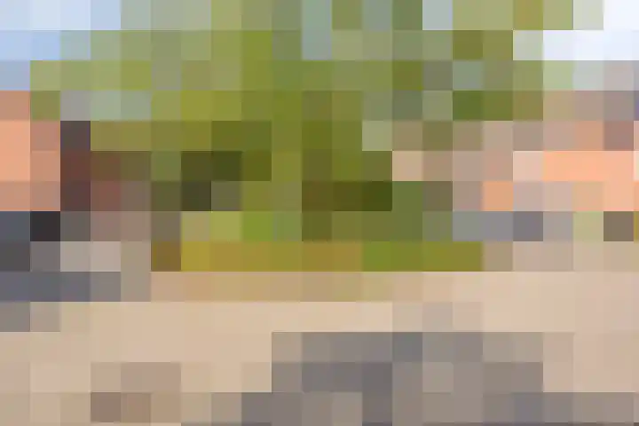 Bunnemaheerd 136 Groningen thumbnail 6