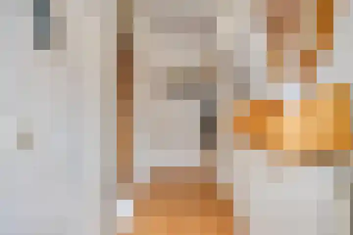 Bunnemaheerd 136 Groningen thumbnail 8