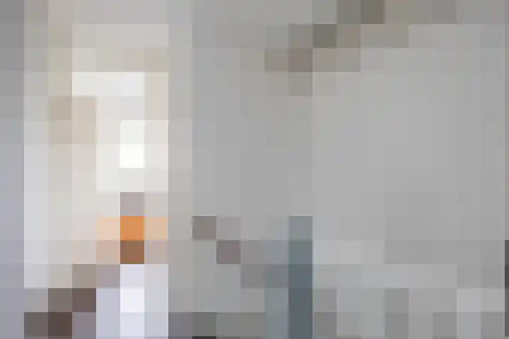 Bunnemaheerd 31 Groningen thumbnail 18