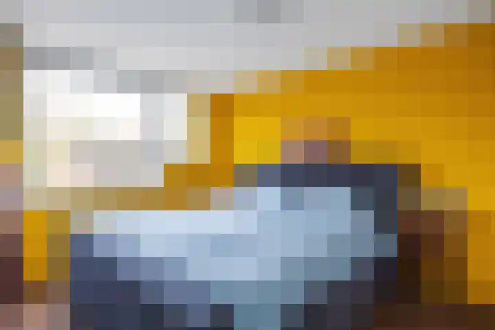 Bunnemaheerd 31 Groningen thumbnail 21