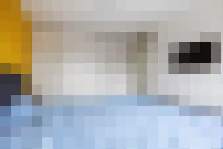 Bunnemaheerd 31 Groningen thumbnail 22