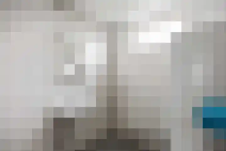 Bunnemaheerd 31 Groningen thumbnail 23