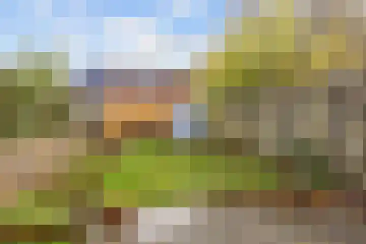 Bunnemaheerd 31 Groningen thumbnail 26
