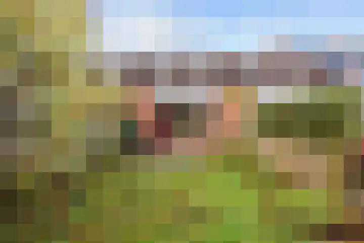Bunnemaheerd 31 Groningen thumbnail 27