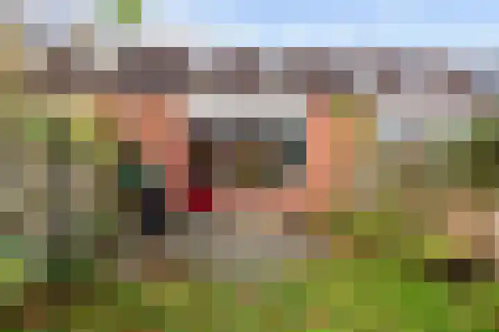 Bunnemaheerd 31 Groningen thumbnail 28