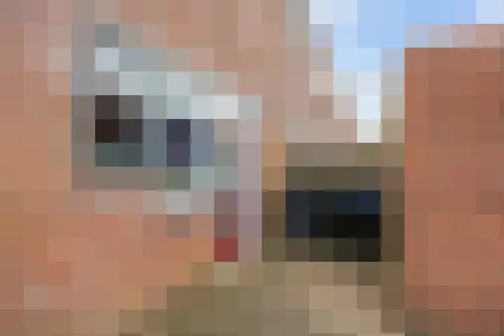 Bunnemaheerd 31 Groningen thumbnail 4