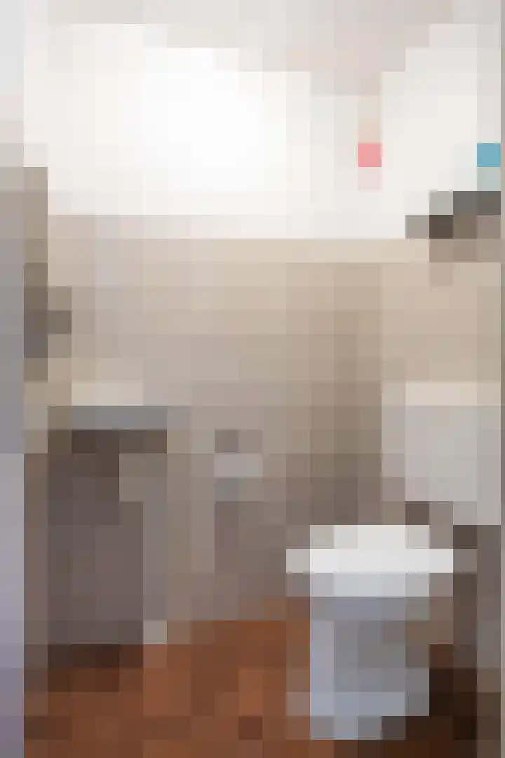 Bunnemaheerd 31 Groningen thumbnail 6