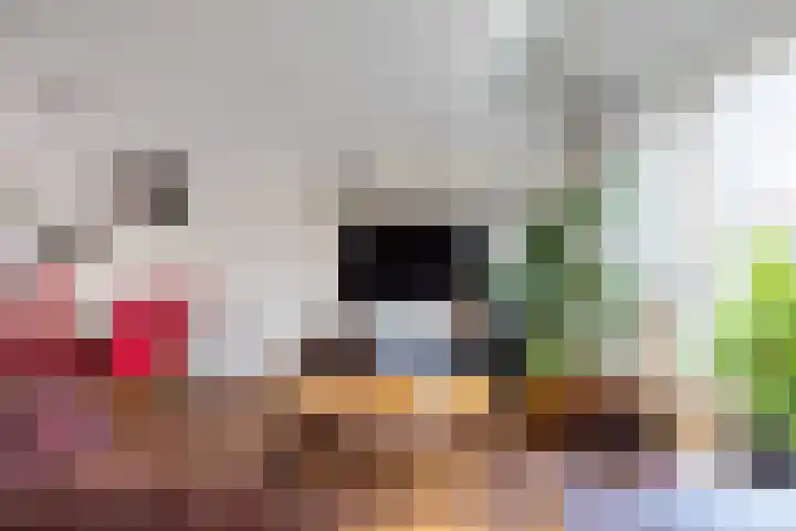 Bunnemaheerd 31 Groningen thumbnail 9