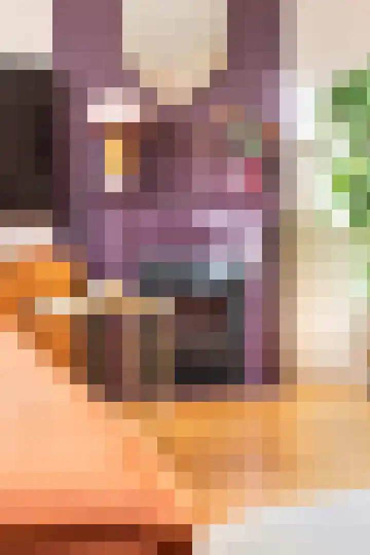 Bunnemaheerd 45 Groningen thumbnail 11