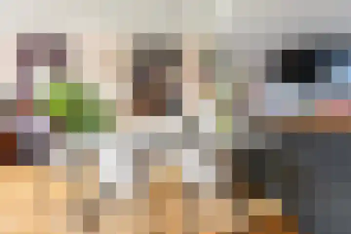 Bunnemaheerd 45 Groningen thumbnail 13