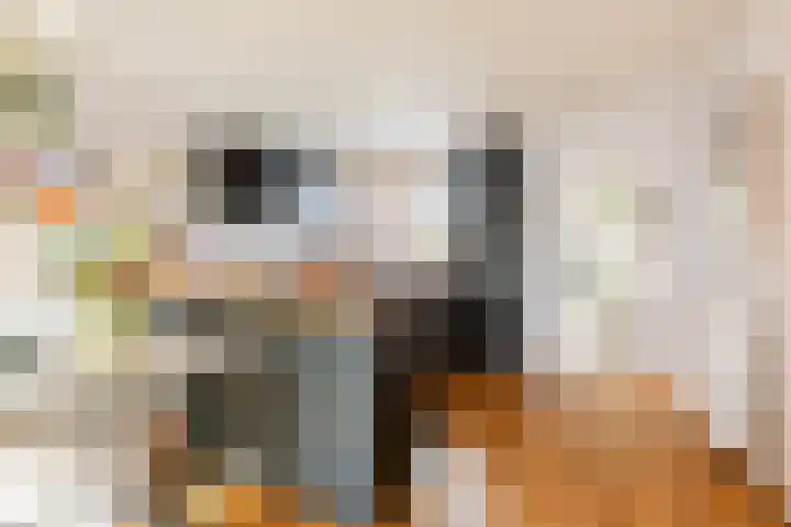 Bunnemaheerd 45 Groningen thumbnail 14