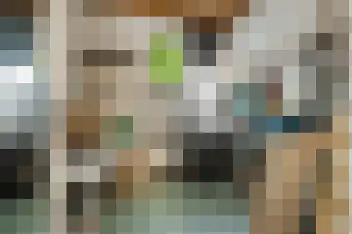 Bunnemaheerd 45 Groningen thumbnail 32