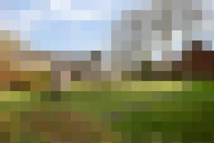 Bunnemaheerd 45 Groningen thumbnail 36