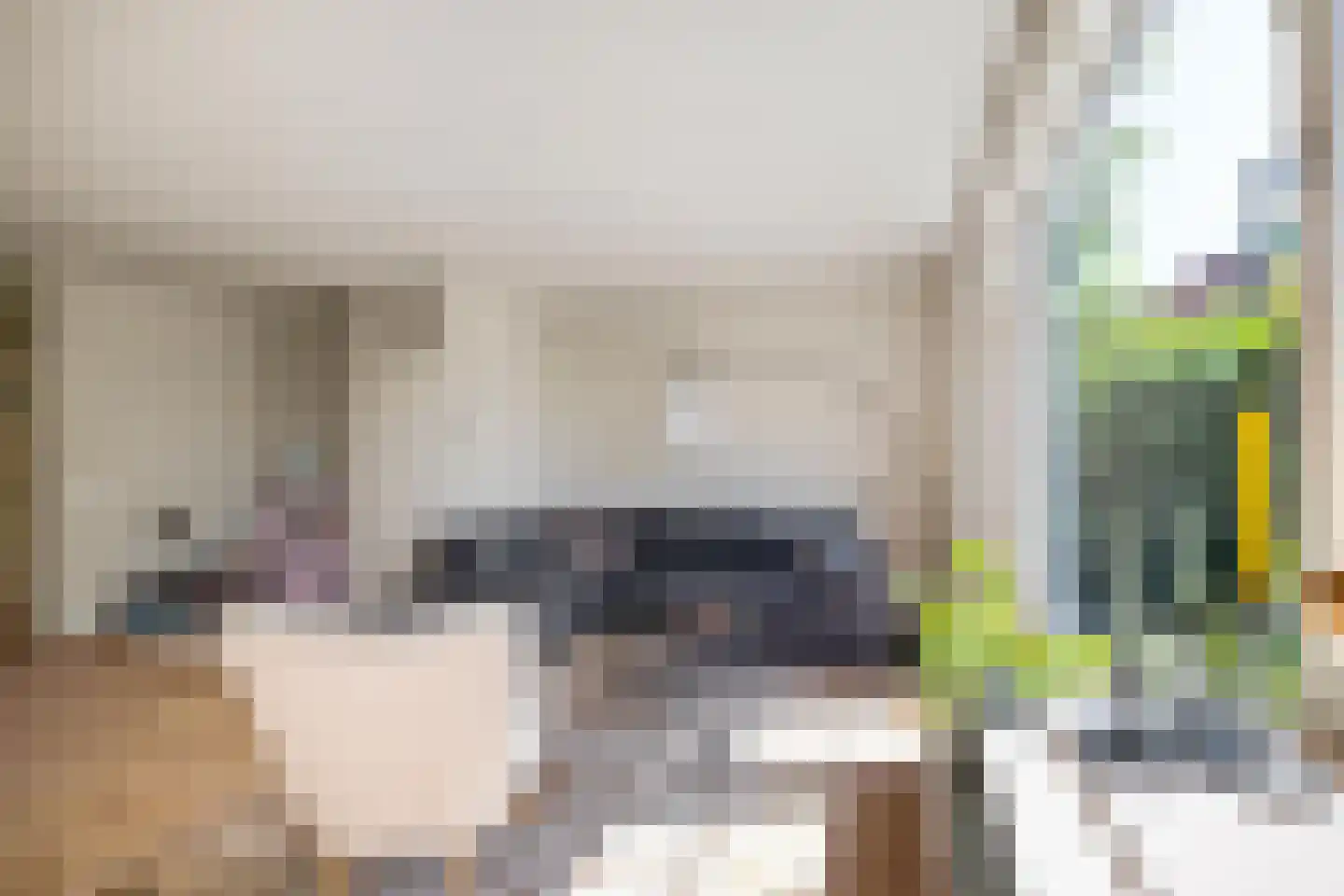 Bunnemaheerd 49 Groningen thumbnail 11