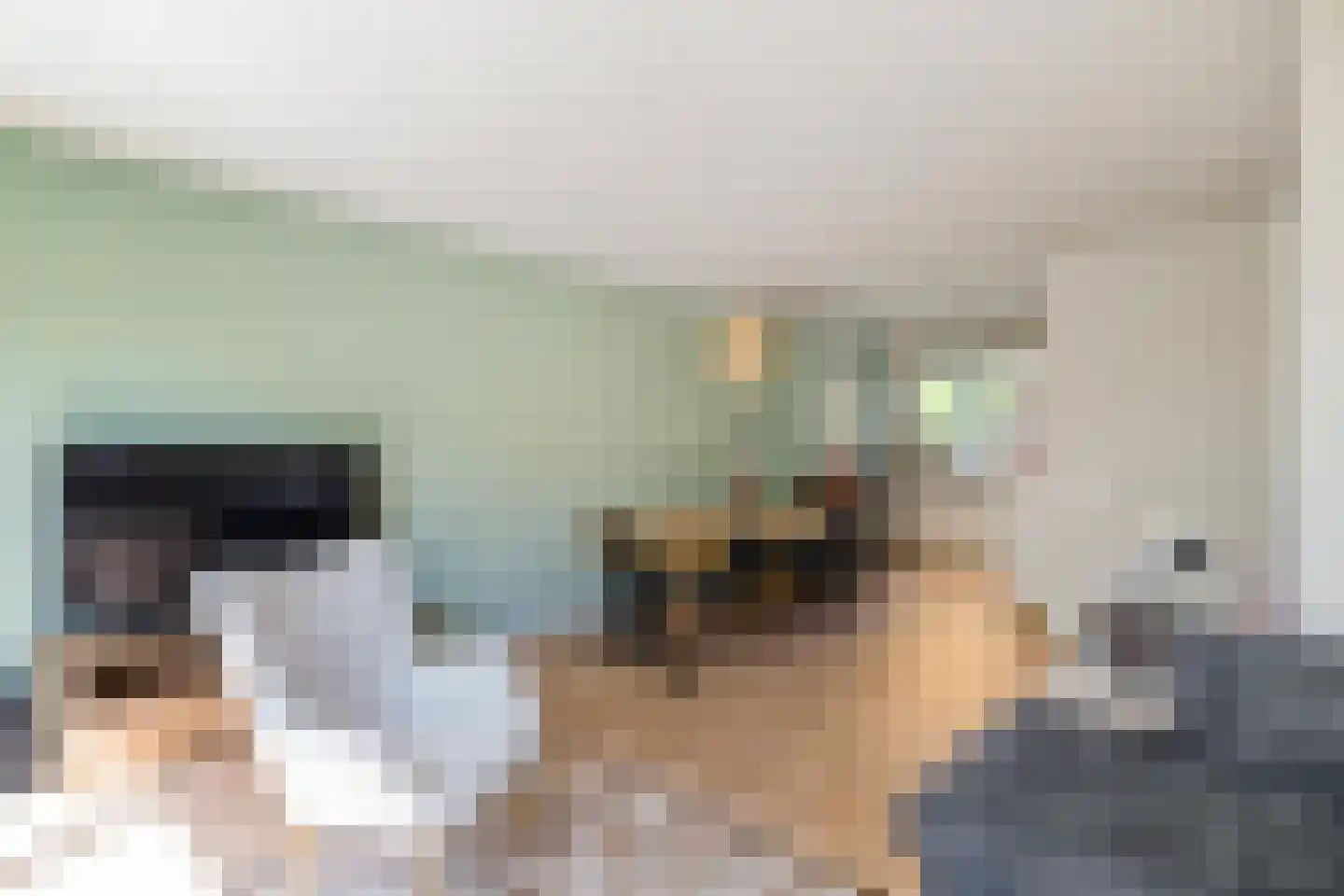 Bunnemaheerd 49 Groningen thumbnail 12