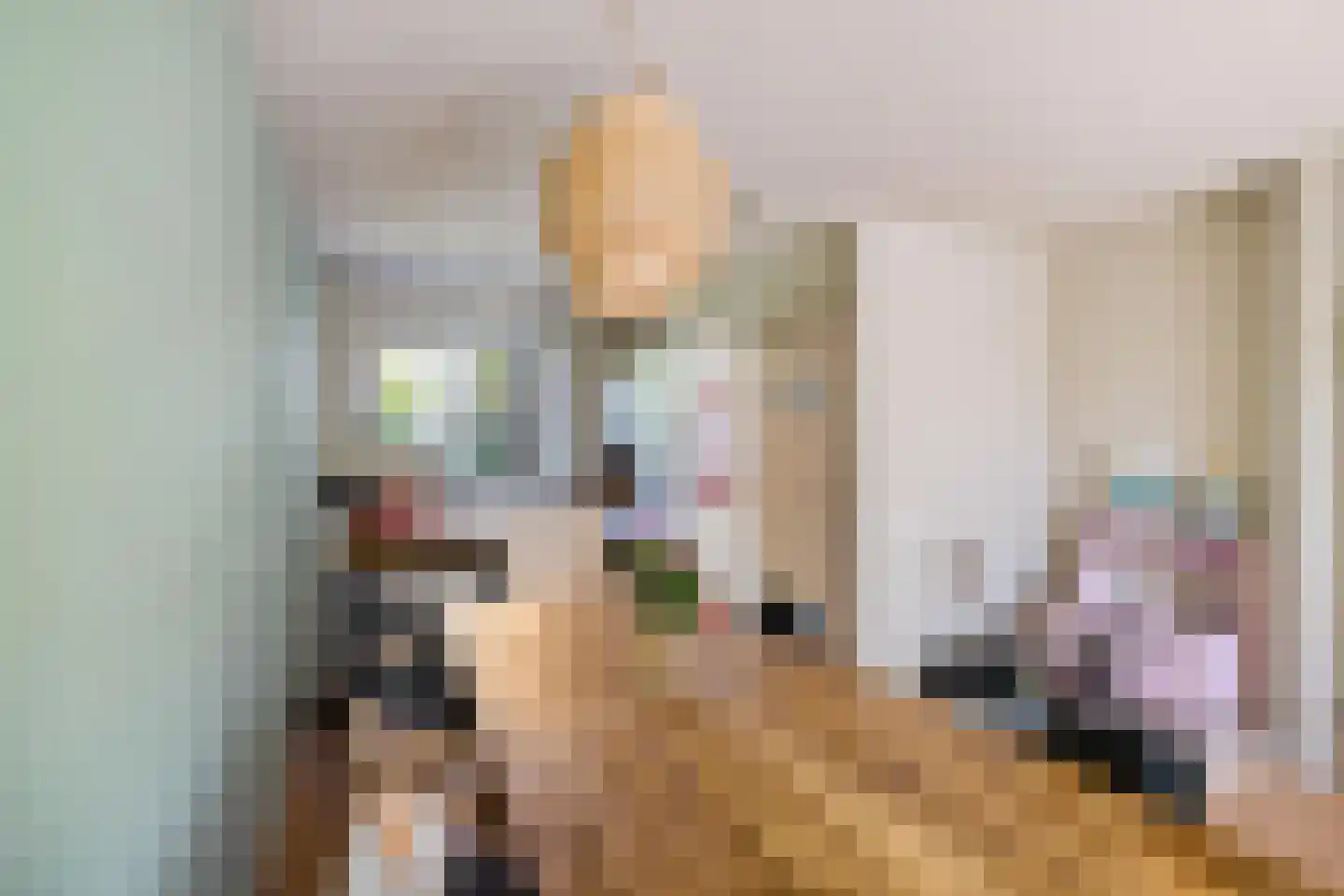 Bunnemaheerd 49 Groningen thumbnail 14