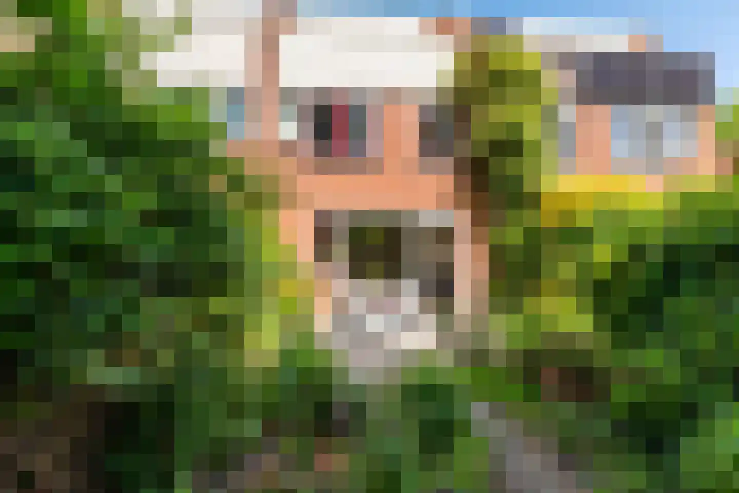 Bunnemaheerd 49 Groningen thumbnail 16