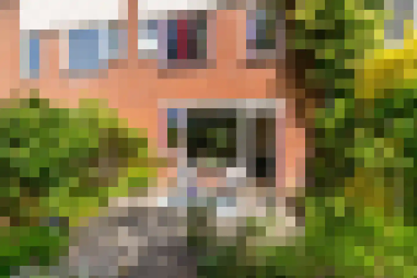 Bunnemaheerd 49 Groningen thumbnail 17