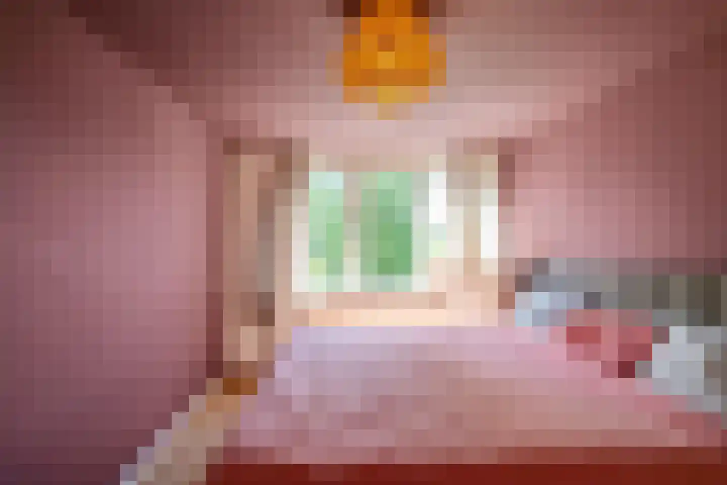 Bunnemaheerd 49 Groningen thumbnail 20