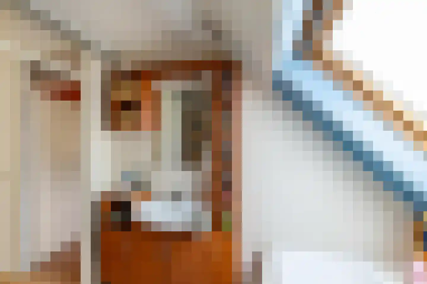 Bunnemaheerd 49 Groningen thumbnail 26