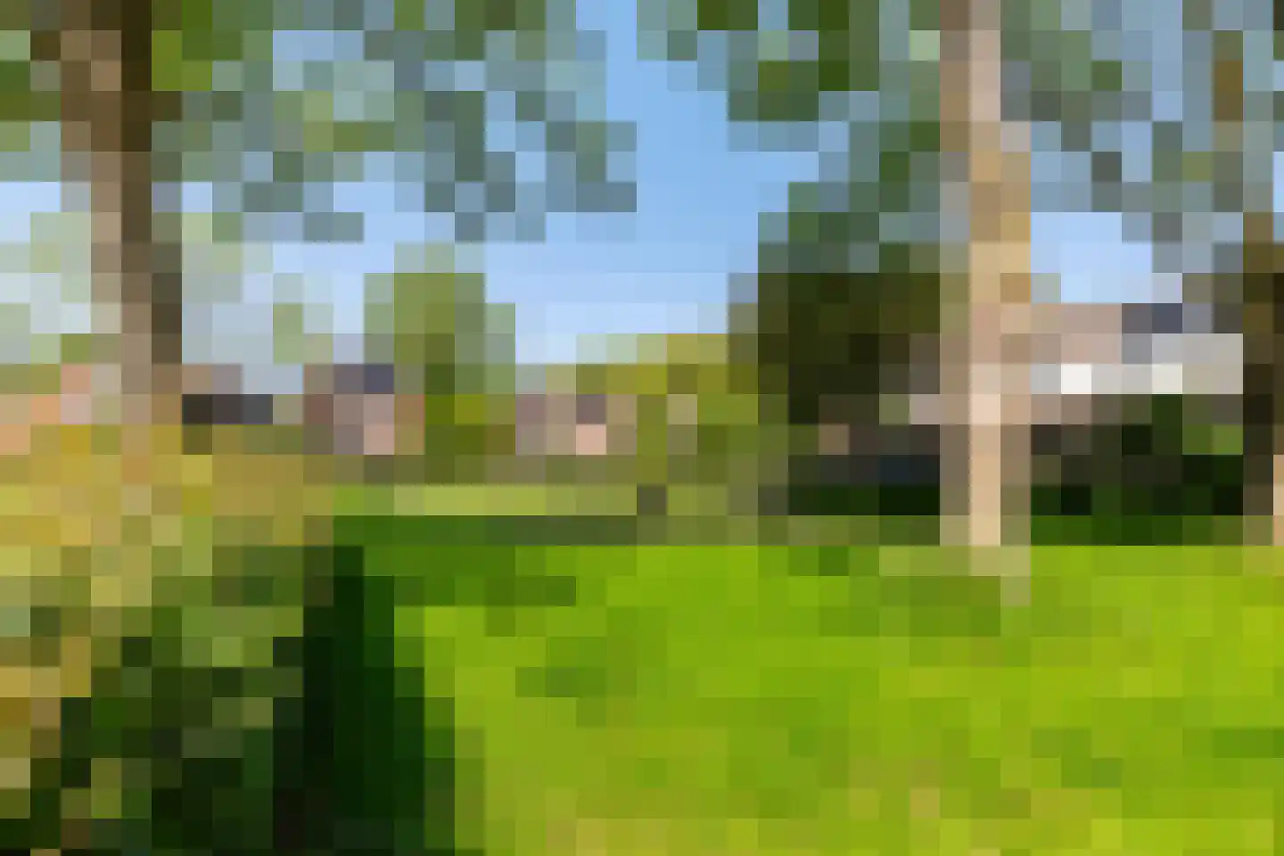 Bunnemaheerd 49 Groningen thumbnail 35