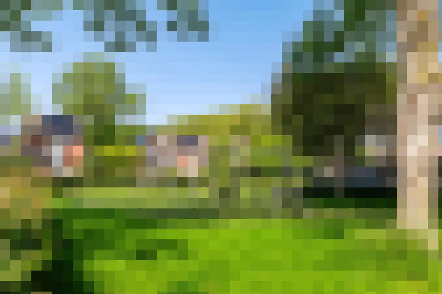 Bunnemaheerd 49 Groningen thumbnail 36