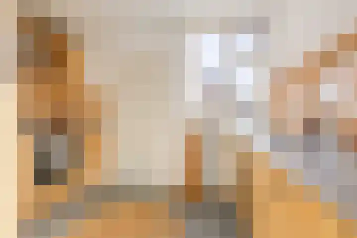 Bunnemaheerd 66 Groningen thumbnail 12