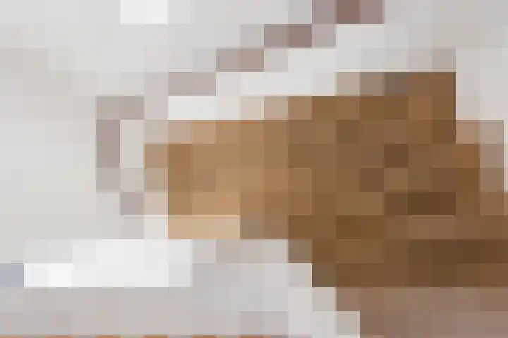 Bunnemaheerd 66 Groningen thumbnail 13