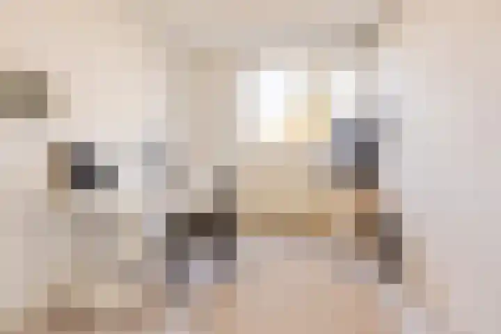 Bunnemaheerd 66 Groningen thumbnail 16