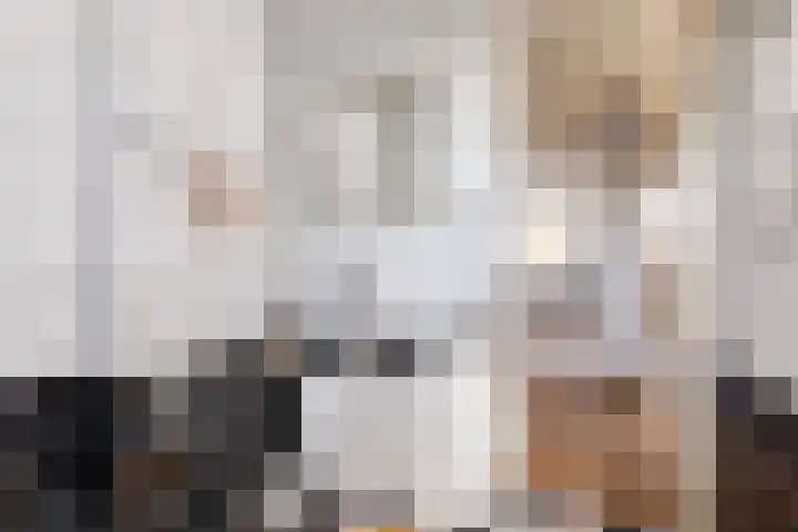 Bunnemaheerd 66 Groningen thumbnail 17